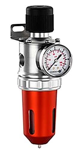 SAGOLA 479 Plus Purifier Regulator